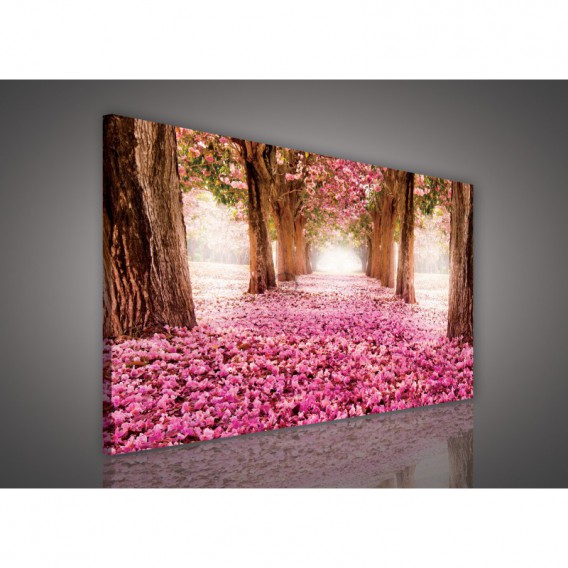 Obraz na plátne obdĺžnik - OB1081 - Ružový les