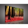Obraz na plátne obdĺžnik - OB1087 - Ružový les