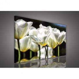 Obraz na plátne obdĺžnik - OB1107 - Biele kvety