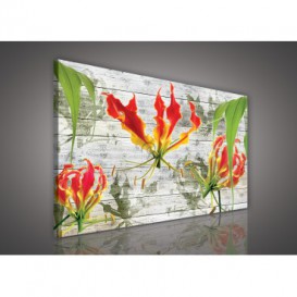 Obraz na plátne obdĺžnik - OB1129 - Červený kvet