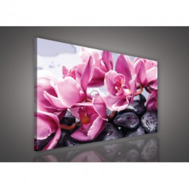 Obraz na plátne obdĺžnik - OB1146 - Ružové kvety s kamienkami