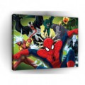 Obraz na plátne obdĺžnik - OB1643 - Spiderman