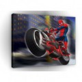 Obraz na plátne obdĺžnik - OB1646 - Spiderman