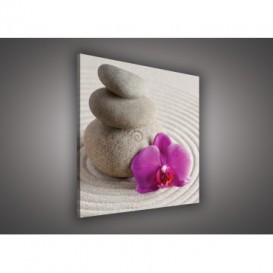 Obraz na plátne štvorec - OB1832 - Ružový kvet a kamienky