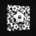 Obraz na plátne štvorec - OB1881 - Futbalová lopta
