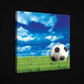 Obraz na plátne štvorec - OB1883 - Futbalová lopta