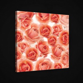 Obraz na plátne štvorec - OB1895 - Ruže