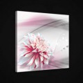 Obraz na plátne štvorec - OB1901 - Bielo ružový kvet
