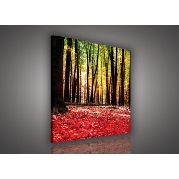 Obraz na plátne štvorec - OB2034 - Ružový les