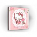 Obraz na plátne štvorec - OB2134 - Hello Kitty
