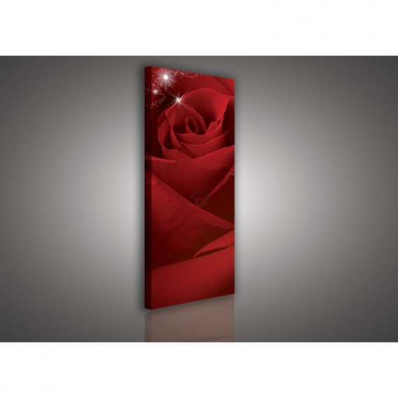 Obraz na plátne panoráma - OB2184 - Červená ruža