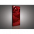 Obraz na plátne panoráma - OB2184 - Červená ruža
