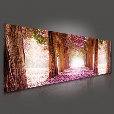 Obraz na plátne panoráma - OB2203 - Ružová alej