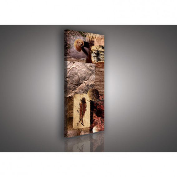 Obraz na plátne panoráma - OB2224 - Mozaika skamenelín