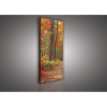 Obraz na plátne panoráma - OB2226 - Jesenný les