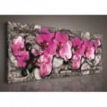 Obraz na plátne panoráma - OB2234 - Ružové orchidey