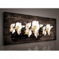 Obraz na plátne panoráma - OB2238 - Biele orchidey