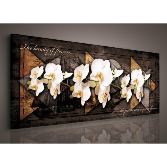 Obraz na plátne panoráma - OB2239 - Biele orchidey