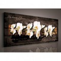 Obraz na plátne panoráma - OB2240 - Biele orchidey
