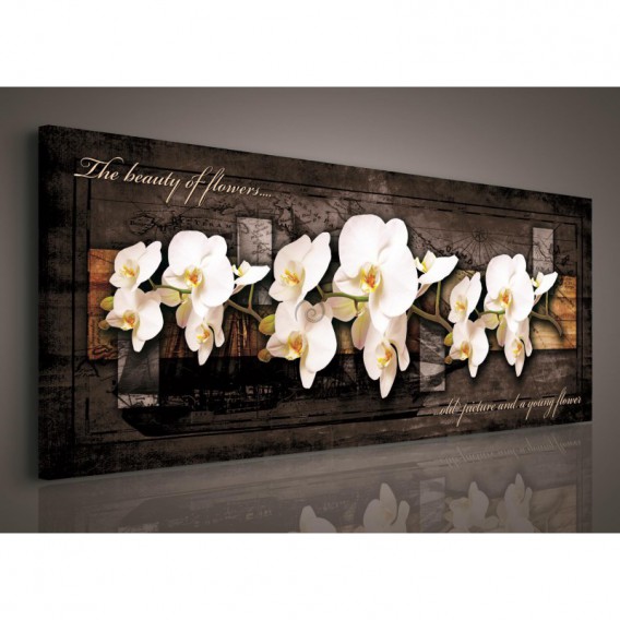 Obraz na plátne panoráma - OB2241 - Biele orchidey