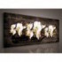 Obraz na plátne panoráma - OB2242 - Biele orchidey