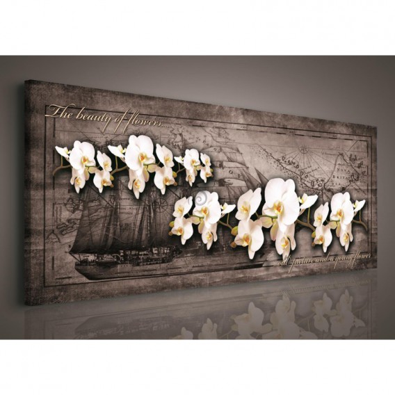 Obraz na plátne panoráma - OB2244 - Biele orchidey