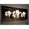 Obraz na plátne panoráma - OB2246 - Biele orchidey
