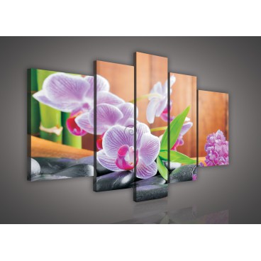 Obraz na plátne viacdielny - OB2310 - Ružové kvety a kamienky