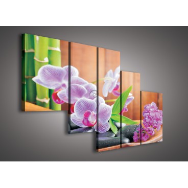 Obraz na plátne viacdielny - OB2311 - Ružové kvety a kamienky
