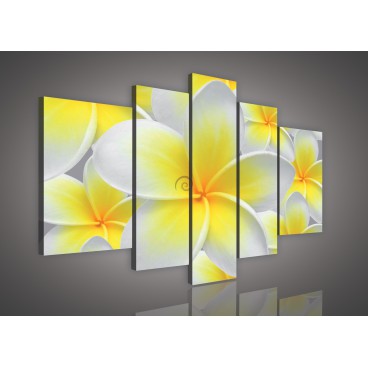 Obraz na plátne viacdielny - OB2327 - Žltobiely kvet