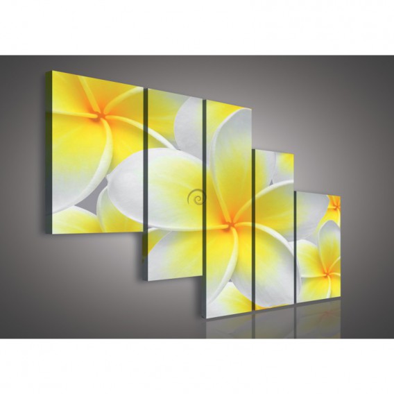Obraz na plátne viacdielny - OB2328 - Žltobiely kvet