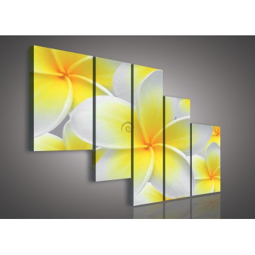 Obraz na plátne viacdielny - OB2328 - Žltobiely kvet