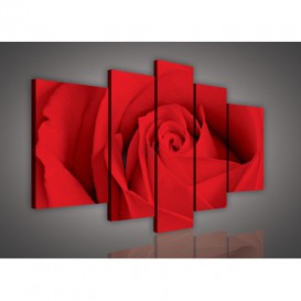 Obraz na plátne viacdielny - OB2343 - Červená ruža