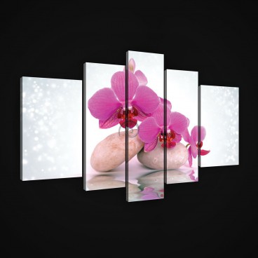 Obraz na plátne viacdielny - OB2481 - Ružový kvet s kamienkami
