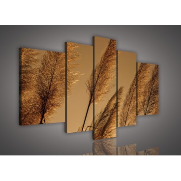 Obraz na plátne viacdielny - OB2533 - Suchá tráva