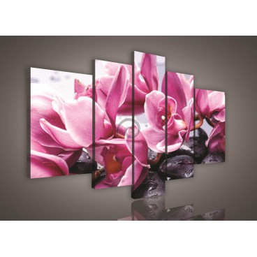 Obraz na plátne viacdielny - OB2535 - Ružové kvety s kamienkami