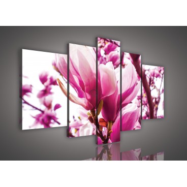 Obraz na plátne viacdielny - OB2536 - Ružové kvety