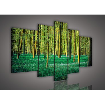 Obraz na plátne viacdielny - OB2541 - Zelený les