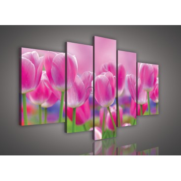 Obraz na plátne viacdielny - OB2555 - Ružové tulipány