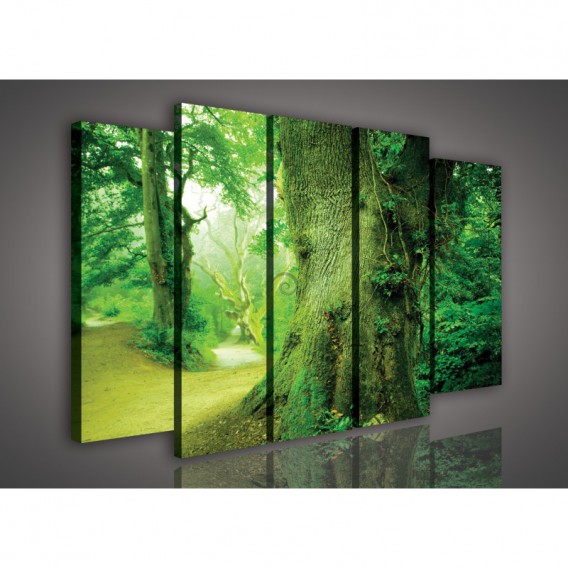 Obraz na plátne viacdielny - OB2719 - Zelený prales