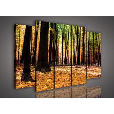 Obraz na plátne viacdielny - OB2874 - Jesenný les