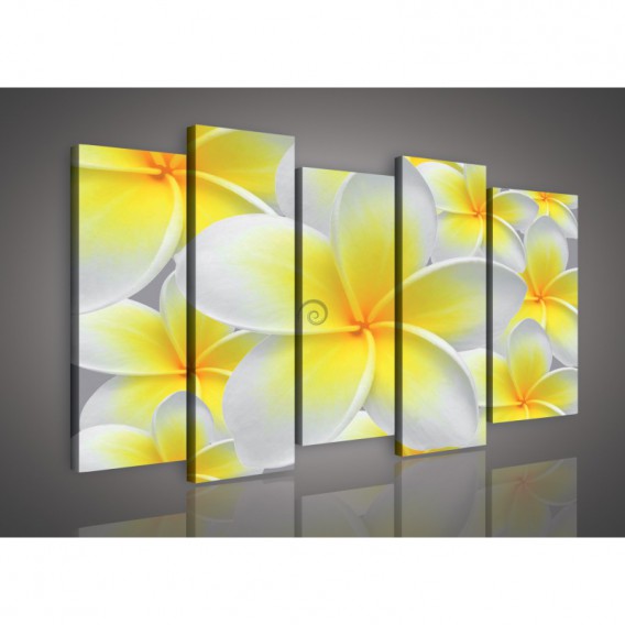 Obraz na plátne viacdielny - OB3011 - Žltobiely kvet