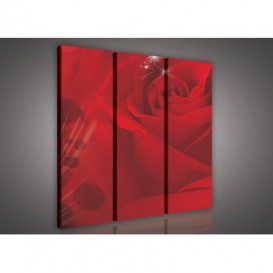 Obraz na plátne viacdielny - OB3041 - Červená ruža