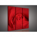 Obraz na plátne viacdielny - OB3051 - Červená ruža