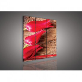 Obraz na plátne viacdielny - OB3055 - Tulipány