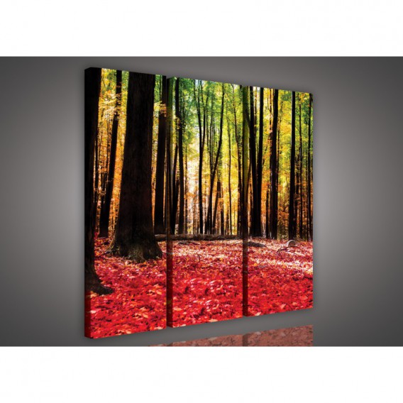Obraz na plátne viacdielny - OB3083 - Ružový les