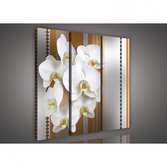Obraz na plátne viacdielny - OB3141 - Biela orchidea hnedý vzor