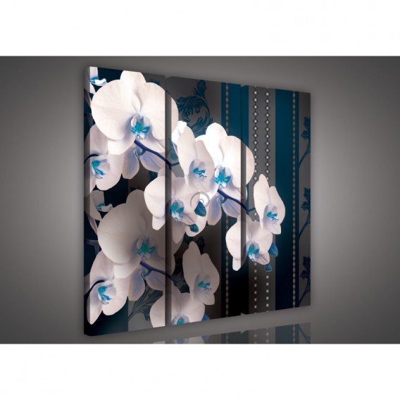 Obraz na plátne viacdielny - OB3155 - Biela orchidea modrý vzor