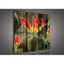 Obraz na plátne viacdielny - OB3186 - Abstraktný kvet