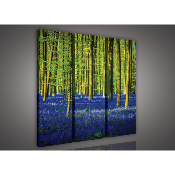 Obraz na plátne viacdielny - OB3194 - Modrý les